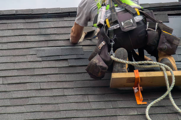 Best Roof Gutter Cleaning  in Lake Caroline, VA